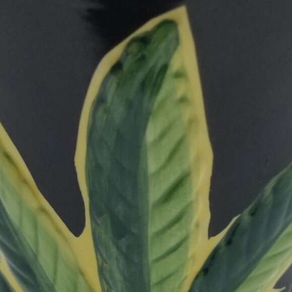 Amsterdam's Cannabis Leaf Coffee Mug Black/Yellow/Green Hippie Retro Cup *READ* - Picture 7 of 9